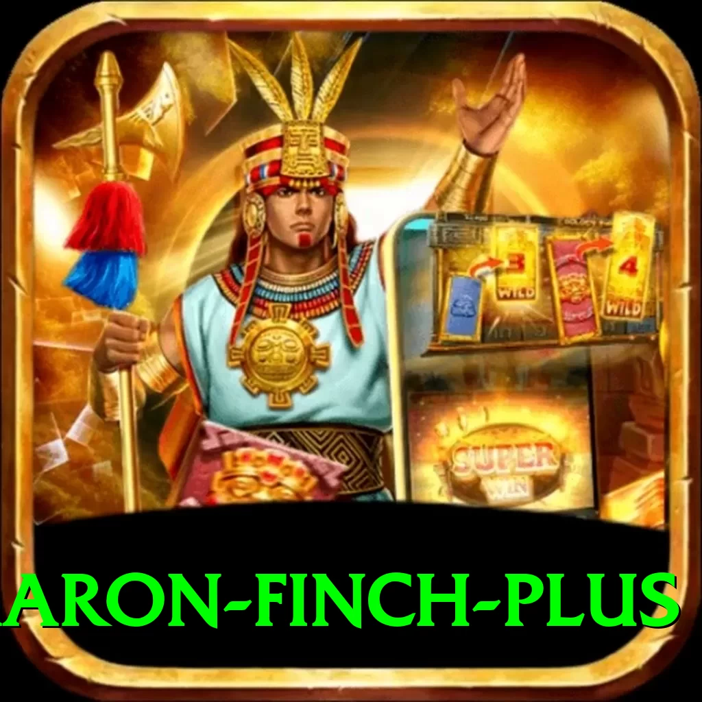 aaron finch - Premium v3.1.1 - 2