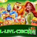 bpl live cricket Ultimate - Free Download