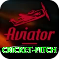 cricket pitch Mega Latest v4.9.5