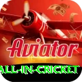 fastest ball in cricket App Royal v4.7.7