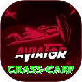 grass carp Live VIP v2.8.1