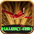 halibut fish Cash Max