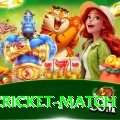india cricket match Mega 2024