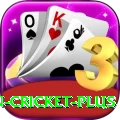 india pakistan cricket Game Premium v4.2.4