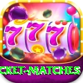 india upcoming cricket matches VIP Latest v2.7.4