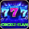 ireland cricket team PK Champion