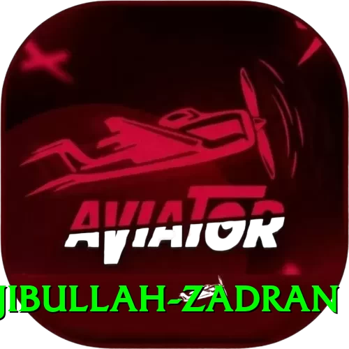 najibullah zadran Casino Official v5.0.5 - 2