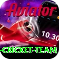 pakistan women cricket team Turbo v5.9.5