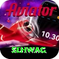 sehwag Pakistan VIP v5.9.9