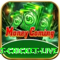 smart cricket live VIP Jackpot
