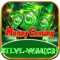 steve waugh Mega Gaming App