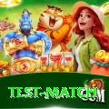 test match - Gaming Pro