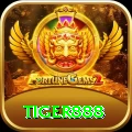 tiger888 Casino Official v4.2.0