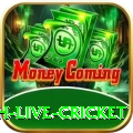 watch live cricket Earn Pro v1.4.5