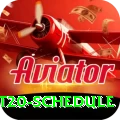 world t20 schedule Master v1.7.0